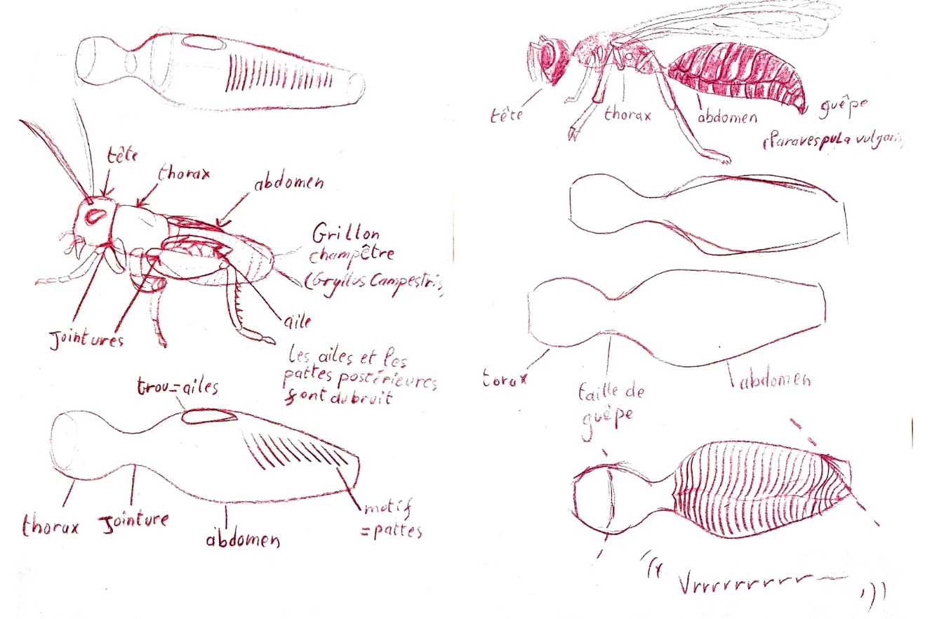 Mes croquis anatomiques et recherches de forme autour du grillon